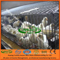 Innaer Factory Supply Chick Cages for Chicken Farm (3-5 layers)